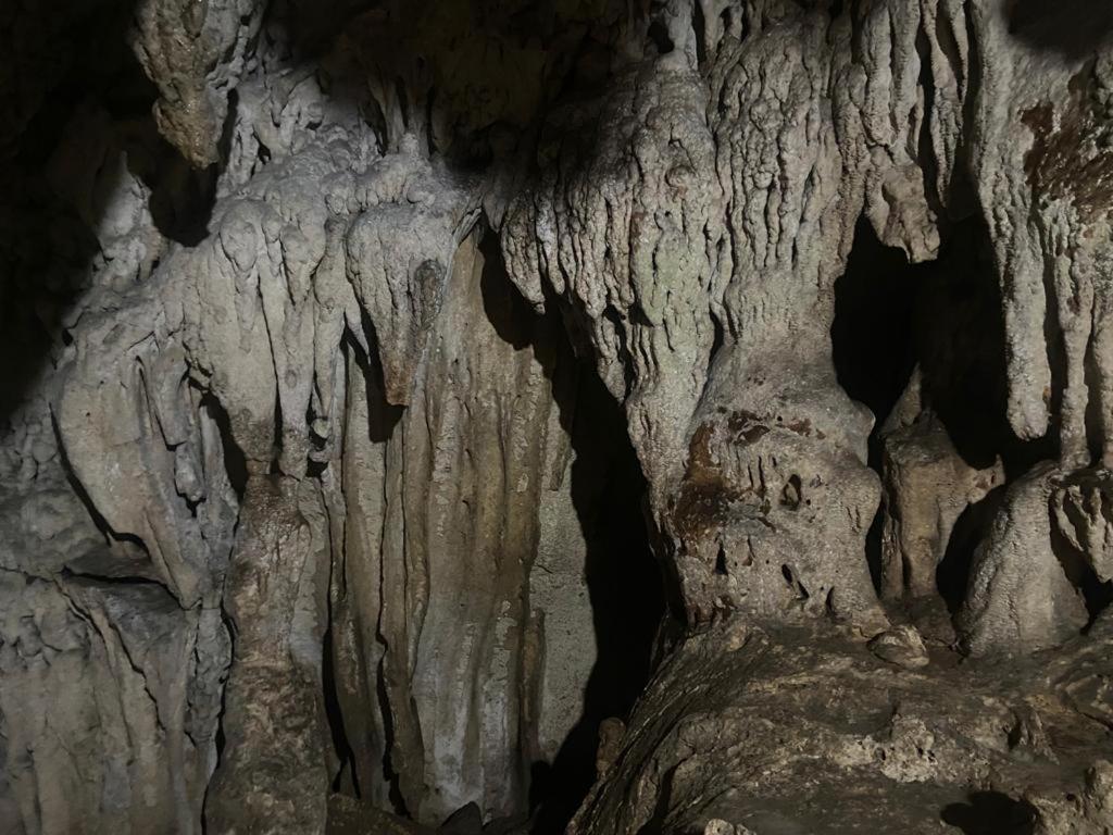 Casakeja Inn Đảo Đảo Panglao Ngoại thất bức ảnh