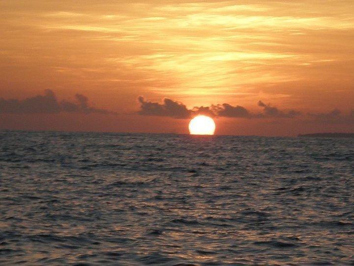 Casakeja Inn Đảo Đảo Panglao Ngoại thất bức ảnh