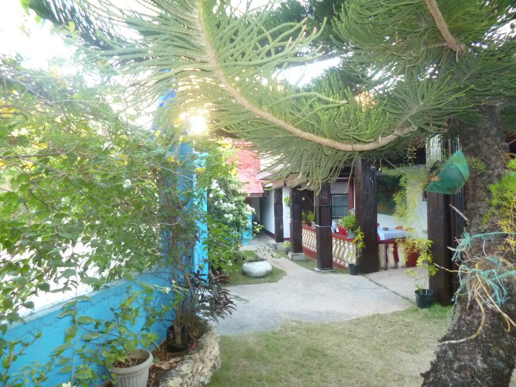 Casakeja Inn Đảo Đảo Panglao Ngoại thất bức ảnh