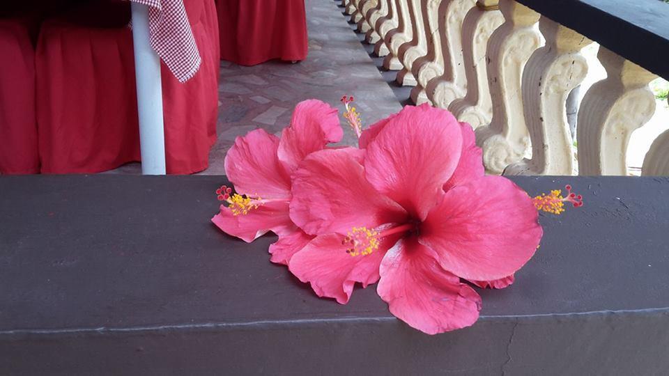 Casakeja Inn Đảo Đảo Panglao Ngoại thất bức ảnh
