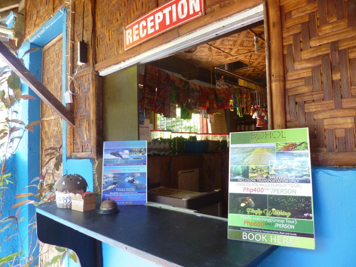Casakeja Inn Đảo Đảo Panglao Ngoại thất bức ảnh