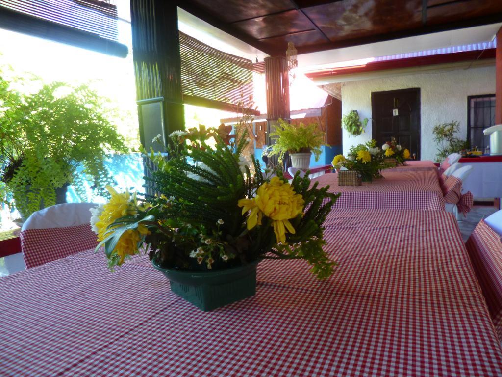 Casakeja Inn Đảo Đảo Panglao Ngoại thất bức ảnh